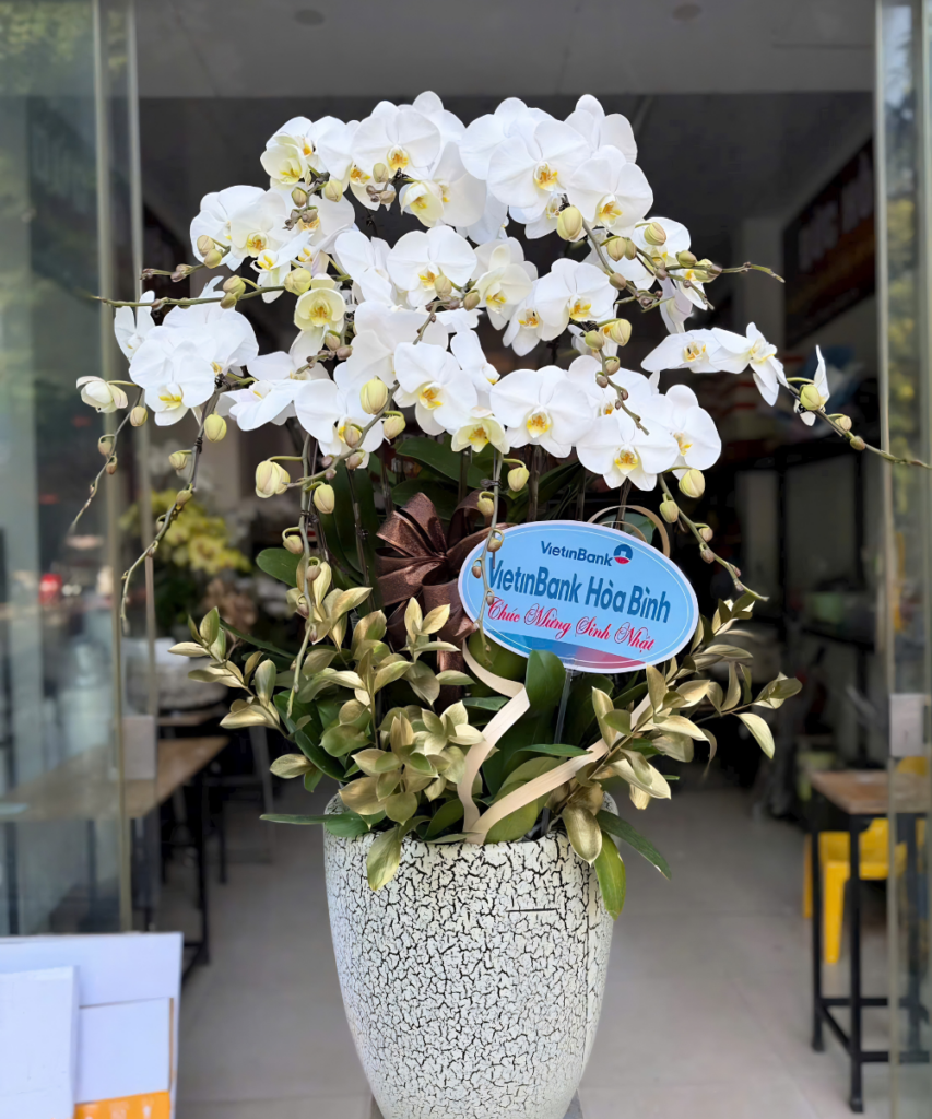 Lan Hồ Điệp - LHĐ3